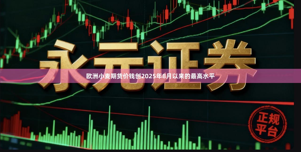 欧洲小麦期货价钱创2025年8月以来的最高水平